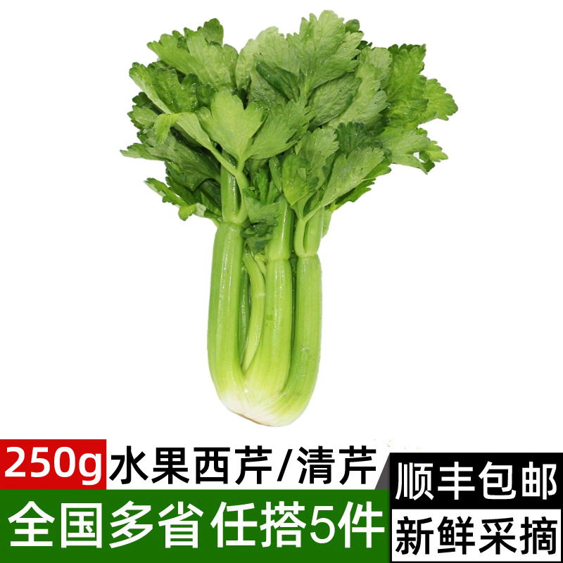 新鲜水果西芹250g左右 荷兰清芹 榨汁生吃蔬菜清甜爽口 满5件包邮