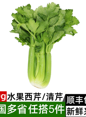 新鲜水果西芹250g左右 荷兰清芹 榨汁生吃蔬菜清甜爽口 满5件包邮