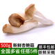 包邮 杏鲍菇500g 肉厚鲜嫩蘑菇蔬菜 满5件 新鲜菌菇 美味食用菌