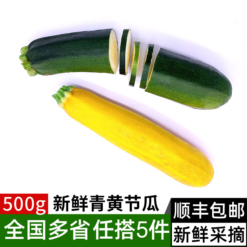 新鲜青黄节瓜500g 青黄西葫芦绿色茄瓜 新鲜蔬菜 满5件包邮