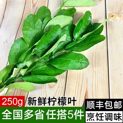 新鲜柠檬叶250g 带枝青柠叶西餐调味香料火锅配料 满5件包邮