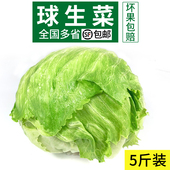 包邮 新鲜球生菜5斤 汉堡用西餐蔬菜沙拉食材结球形圆型西生菜顺丰