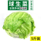 包邮 新鲜球生菜5斤 汉堡用西餐蔬菜沙拉食材结球形圆型西生菜顺丰