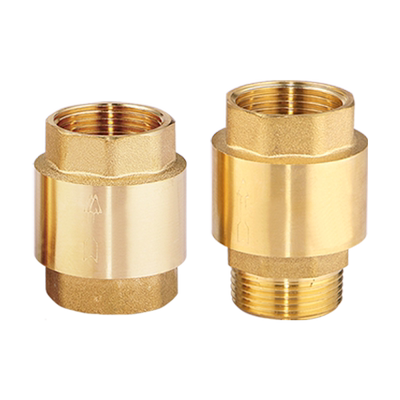 汇臣立式弹簧止回阀全铜加厚