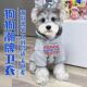 秋冬天宠物狗狗衣服韩版 防掉毛比熊雪纳瑞泰迪小型犬加绒保暖卫衣