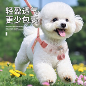 狗狗牵引绳防挣脱外出专用狗绳子比熊马尔济斯可爱蕾丝花朵胸背带