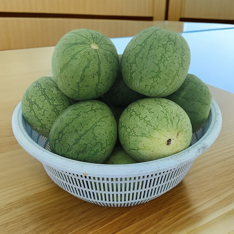 海南正宗本地小西瓜仔新鲜发货