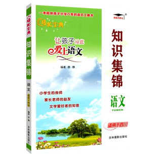 小学数学英语语文知识集锦四川专版全国通用 小升初知识大集结培优宝典让孩子从此爱上语文 小学生四五六年级语文重点基础知识大全