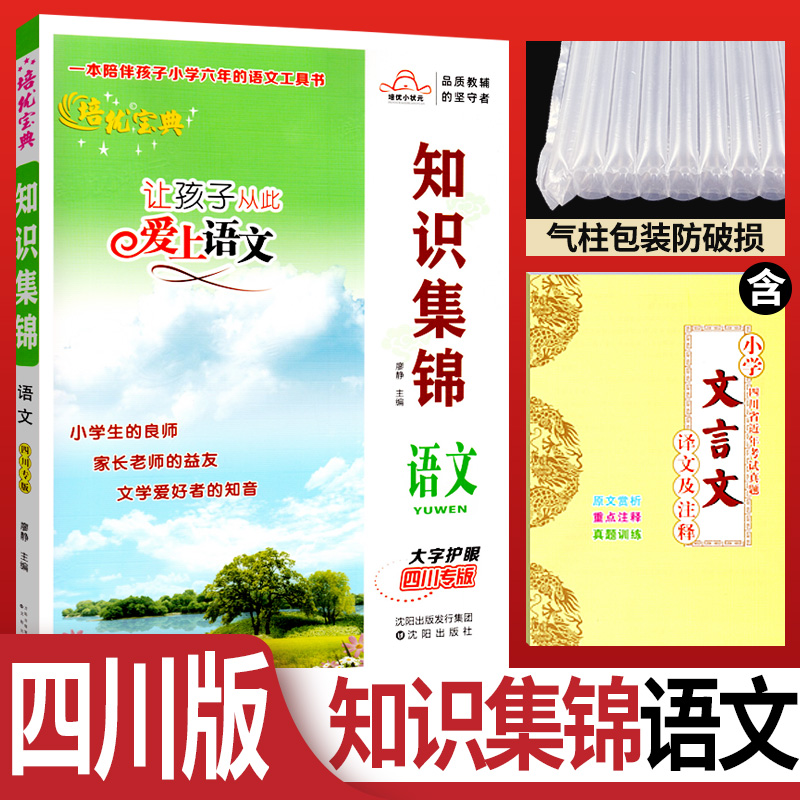 小学语文知识集锦四川专版 小升初知识大集结培优宝典让孩子从此爱上语文 小学生四五六年级语文重点知识集锦基础知识大全