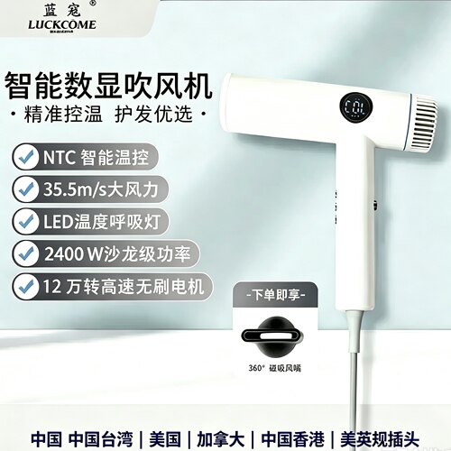 2400w负离子电吹风机护发新加坡negative ion hair dryer
