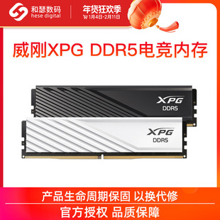 威刚XPG威龙D300 16G 32G DDR5 6000/6400 台式机电脑马甲内存条