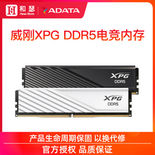 威刚XPG威龙D300 16G 32G DDR5 6000/6400 台式机电脑马甲内存条