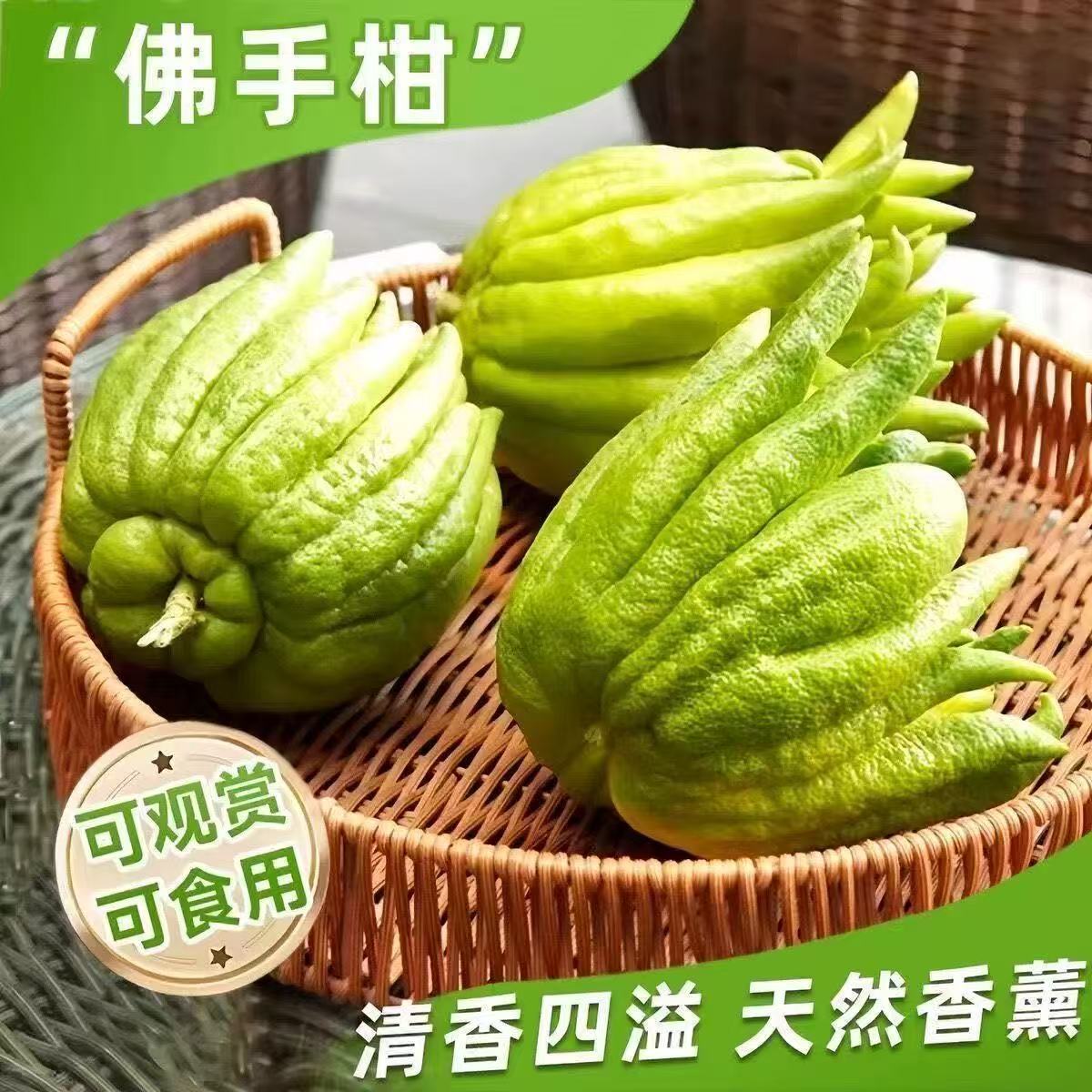 佛手柑鲜果新鲜佛手瓜切带枝室内摆件清供观赏闻香可食用花卉盆栽