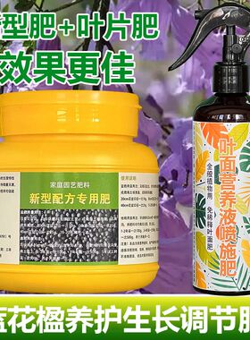 蓝花楹专用肥料叶子蔫卷曲下垂枯萎尖发黑营养液发芽长叶喷施肥料