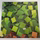C418-Minecraft Volume Alpha Виниловая пластинка Minecraft Green LP mini 2