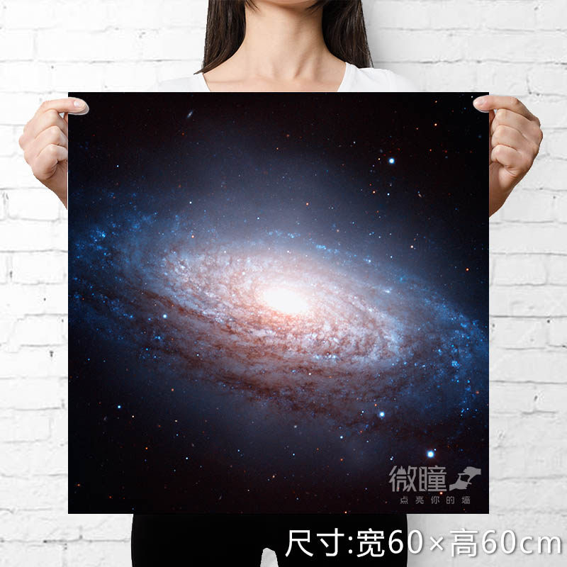 狮子座装饰画创意生日礼物十二星座文艺范宇宙星空星系海报墙挂画