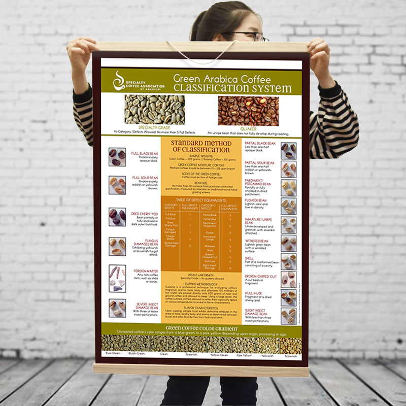 微瞳 咖啡豆生豆专业分类表咖啡挂画海报 咖啡馆装饰画壁挂饰品