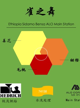 极浅度烘焙手冲咖啡豆兼顾SOE