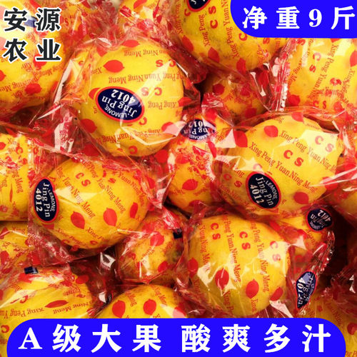安岳一级新鲜黄柠檬大果精品独立包装 无蜡酸爽多汁孕妇水果