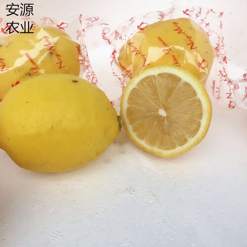 安源安岳新鲜黄柠檬果水果