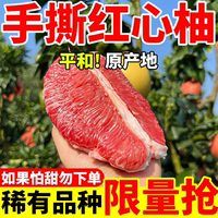 正宗海南新鮮三紅蜜柚