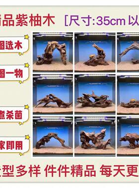 沉木造景35cm以内小号鱼缸造景水草缸紫柚木水族装饰乌龟晒台斗鱼