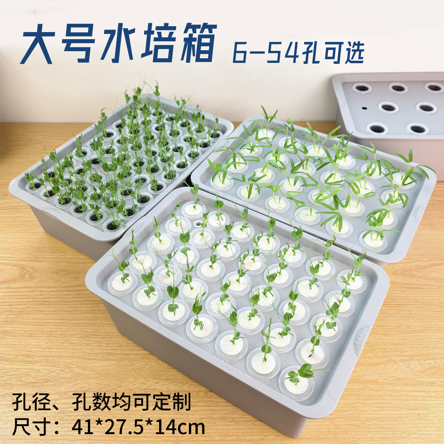 水培实验箱无土栽培育苗种植箱