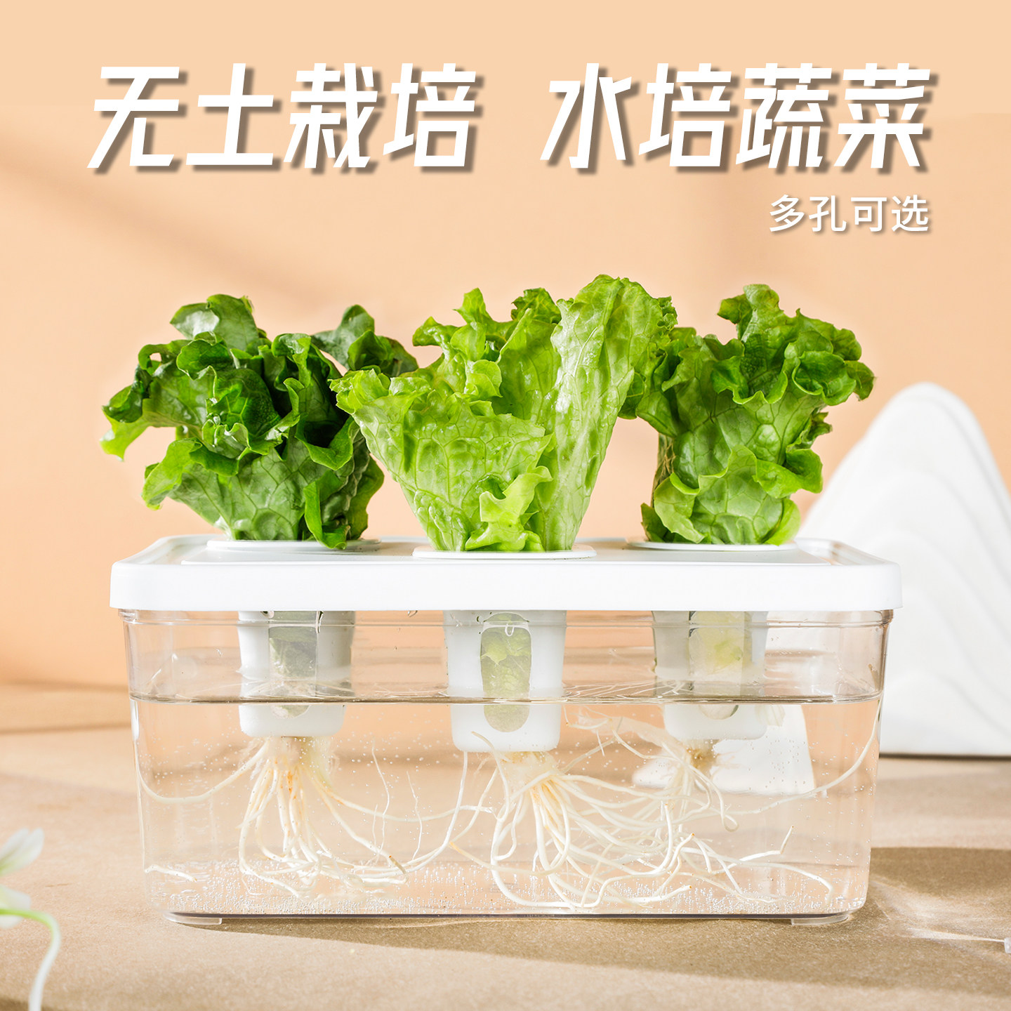 水培蔬菜种植盒-多孔可选