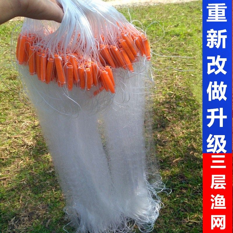 鲢鱼单层白条挂子捕渔网