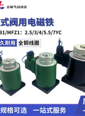电磁阀液压阀全铜线圈MFB/Z1-2.5YC/3YC/4/5.5/7YC湿式阀用电磁铁