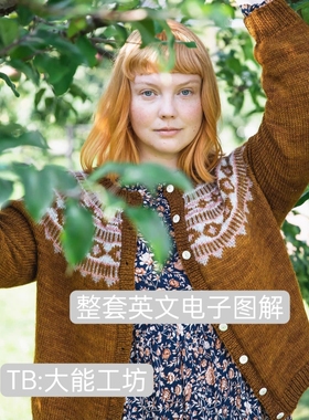 【英文】棒针编织 Laine Worsted系列 毛衣披肩帽子图文解 293