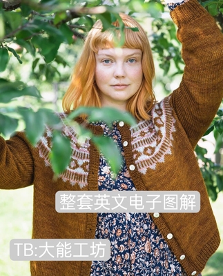 【英文】棒针编织 Laine Worsted系列 毛衣披肩帽子图文解 293