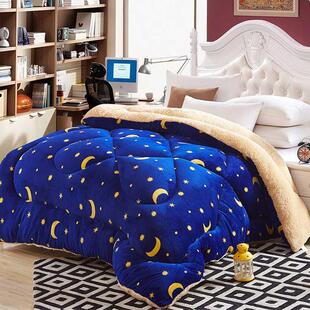 被子冬被加厚保暖羊羔绒双面被棉被单人学生宿舍毛绒绒冬季被i.