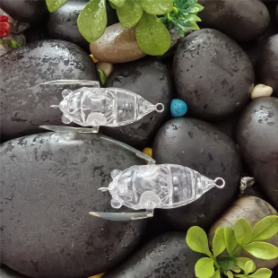 多渔趣新品 5cm/5.2g夏季水面蝉知了仿生假饵无涂装透明饵胚