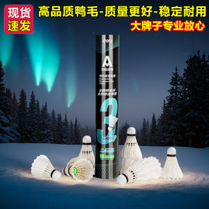 得力F2207耐用耐打安格耐特小学生飞行稳定室内外训练用球羽毛球