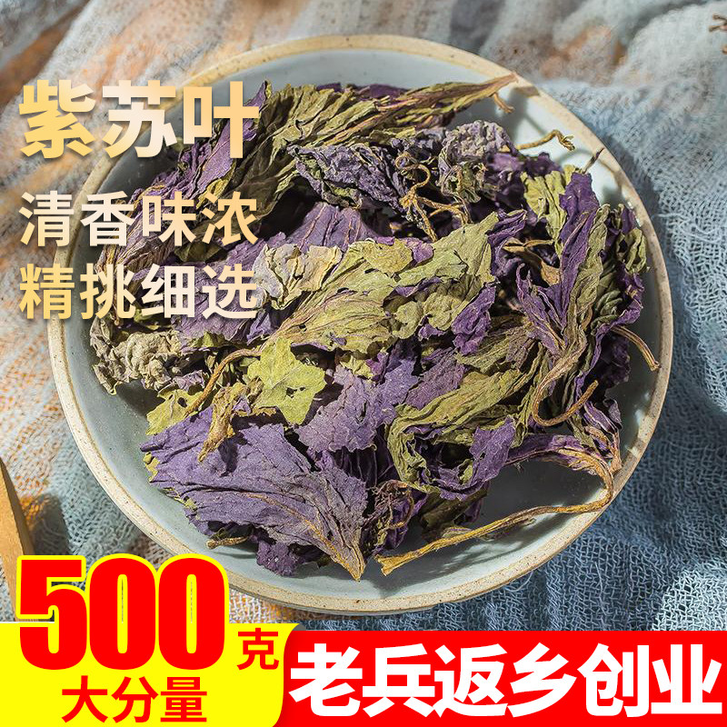 紫苏叶500g新鲜食用干即食用泡水泡菜调料去腥紫苏叶粉泡脚中药材,传统滋补营养品,其他药食同源食品,淘宝优惠券,粉丝福利购,淘宝优惠卷