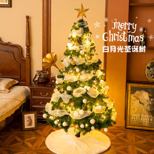 饰 客厅摆件平安夜礼物圣诞节装 25新款 圣诞树节日气氛布置家用套装