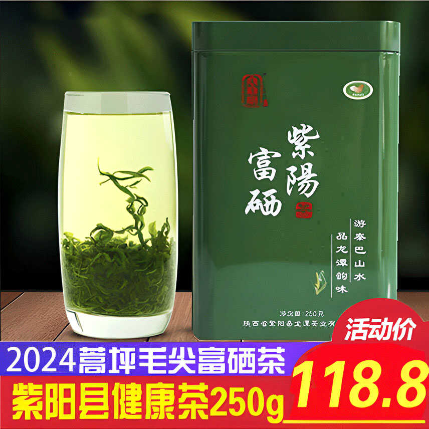 2024新品紫阳富硒特级毛尖浓香陕南炒青绿茶安康特产蒿坪新茶叶 茶 特色产区绿茶 原图主图