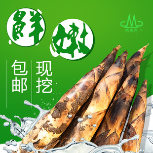 顺丰快递临安天目雷笋临安新鲜春笋香笋甜笋炒菜火锅5斤一箱