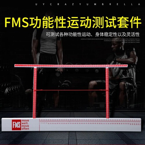 FMS测试工具YBT平衡运动功能筛查