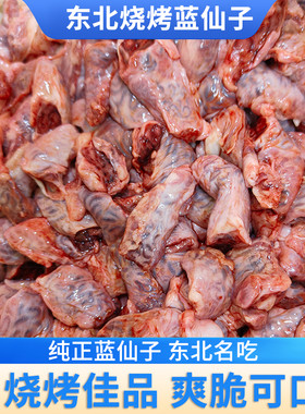 蓝仙子羊精索懒弦子输精管羊宝篮弦子羊蛋肉根烤肉新鲜羊宝根肉