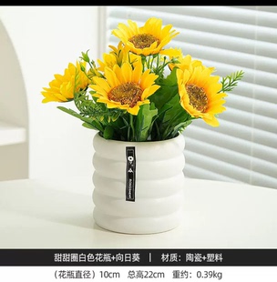 入户鞋柜小摆件服装店绿植摆件美容院办公桌浴室卫生间仿真花摆件