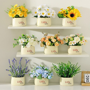 服装店鞋柜绿植摆件酒店卧室书房绿植装饰品收银台多肉盆栽摆件