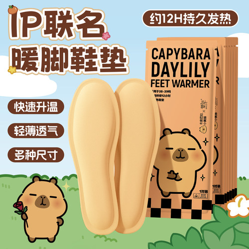 20片萱草IP款发热鞋垫冬季保暖