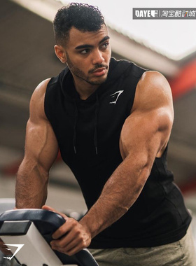 Gymshark Critical Drop Armhole 宽松版 男子砍袖帽衫GMPO3295