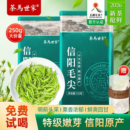 信阳毛尖