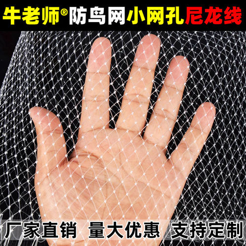防鸟网果树果园大棚尼龙线防鸟用网农用樱桃树嘉宝果葡萄鱼塘天网