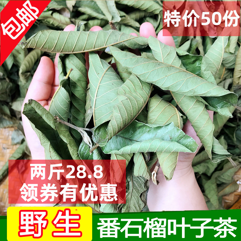 番石榴茶番石榴叶茶下糖野生无糖红心珍珠芭乐叶子1斤装新鲜晒干 水产肉类/新鲜蔬果/熟食 芭乐 原图主图