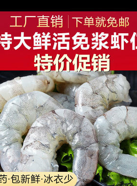 高邮淡水免浆虾仁特大号去虾线