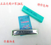 重音口琴 天鹅24孔口琴 直销正品 复音Ｃ调演奏琴 包邮